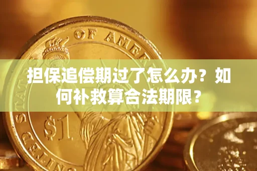 济南担保追偿期过了怎么办？如何补救算合法期限？