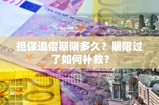 济南担保追偿期限多久？期限过了如何补救？