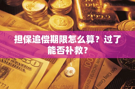 济南担保追偿期限怎么算？过了能否补救？